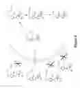 Fig. 19 - Metabolically programmed metal chelators and uses thereof