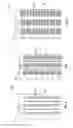 Fig. 05 - Method of Providing Pirfenidone Therapy to a Patient