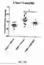 Fig. 33 - Bicyclic compounds and methods for their use in treating autism spectrum disorders and neurodevelopmental disorders
