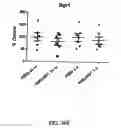 Fig. 52 - Bicyclic compounds and methods for their use in treating autism spectrum disorders and neurodevelopmental disorders