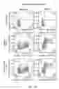 Fig. 10 - COMBINATION OF CHIMERIC ANTIGEN RECEPTOR THERAPY AND AMINO PYRIMIDINE DERIVATIVES