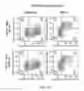 Fig. 13 - COMBINATION OF CHIMERIC ANTIGEN RECEPTOR THERAPY AND AMINO PYRIMIDINE DERIVATIVES