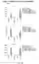 Fig. 37 - COMBINATION OF CHIMERIC ANTIGEN RECEPTOR THERAPY AND AMINO PYRIMIDINE DERIVATIVES