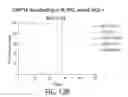Fig. 50 - COMBINATION OF CHIMERIC ANTIGEN RECEPTOR THERAPY AND AMINO PYRIMIDINE DERIVATIVES