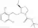 Fig. 96 - COMBINATION OF CHIMERIC ANTIGEN RECEPTOR THERAPY AND AMINO PYRIMIDINE DERIVATIVES