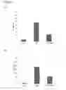 Fig. 02 - Method for improving kidney and/or heart function in patients with kidney disease