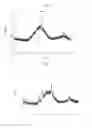 Fig. 02 - Amorphous calcium carbonate stabilized with polyphosphates or bisphosphonates
