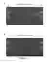 Fig. 35 - Genetically-modified cells comprising a modified human T cell receptor alpha constant region gene