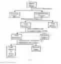 Fig. 02 - Process for preparing an animal brain extract