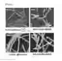 Fig. 03 - PROBIOTIC OR PREBIOTIC, METHOD FOR PRODUCING SAME, MICROBIAL PREPARATION, HEALTH FOOD, AND MEDICINE
