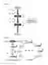 Fig. 04 - PROBIOTIC OR PREBIOTIC, METHOD FOR PRODUCING SAME, MICROBIAL PREPARATION, HEALTH FOOD, AND MEDICINE