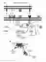 Fig. 02 - Oncolytic adenovirus encoding a B7 protein
