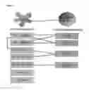 Fig. 03 - Oncolytic adenovirus encoding a B7 protein