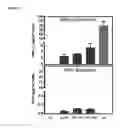 Fig. 50 - Oncolytic adenovirus encoding a B7 protein