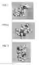 Fig. 02 - Compositions and methods for treating cancer and persistent viral infections