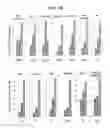 Fig. 13 - Compositions and methods for treating cancer and persistent viral infections