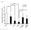Fig. 10 - Method of treating a wound, comprising the step of administering a composition including a substance P
