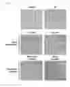 Fig. 12 - Method of treating a wound, comprising the step of administering a composition including a substance P