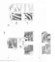 Fig. 20 - Flagellin related polypeptides and uses thereof