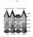 Fig. 85 - Flagellin related polypeptides and uses thereof