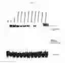 Fig. 95 - Flagellin related polypeptides and uses thereof