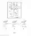 Fig. 02 - Compositions and methods for enhancing peptide stability against protease digestion