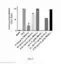 Fig. 08 - Compositions and methods for enhancing peptide stability against protease digestion