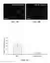 Fig. 10 - Composition comprising connective tissue growth factor (CTGF) for cardiac tissue repair