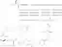 Fig. 83 - FGF21 derivatives and uses thereof
