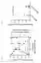 Fig. 05 - MODULATION OF AXL RECEPTOR ACTIVITY IN COMBINATION WITH CYTOREDUCTIVE THERAPY