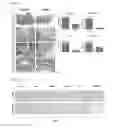Fig. 07 - Method of preventing rheumatoid arthritis comprising administering polynucleotide encoding SSU72