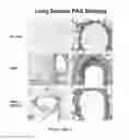 Fig. 20 - Methods, Compounds, and Compositions For Treatment and Prophylaxis in the Respiratory Tract