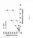 Fig. 23 - Methods, Compounds, and Compositions For Treatment and Prophylaxis in the Respiratory Tract
