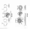 Fig. 03 - Enzymatic immunomodulation of solid tumors and uses thereof