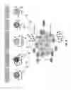 Fig. 06 - Enzymatic immunomodulation of solid tumors and uses thereof