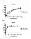 Fig. 07 - Humanized antibodies
