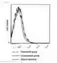 Fig. 06 - COMBINATION USE OF WT1 ANTIGEN PEPTIDE AND IMMUNOMODULATOR