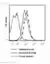 Fig. 09 - COMBINATION USE OF WT1 ANTIGEN PEPTIDE AND IMMUNOMODULATOR