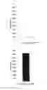 Fig. 45 - COMBINATION USE OF WT1 ANTIGEN PEPTIDE AND IMMUNOMODULATOR