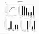 Fig. 09 - Interferon-β production modulating strains and methods for using same