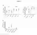 Fig. 12 - Interferon-β production modulating strains and methods for using same