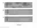 Fig. 07 - Group A Streptococcus Pharmaceutical Compositions and Methods Thereof