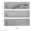 Fig. 09 - Group A Streptococcus Pharmaceutical Compositions and Methods Thereof