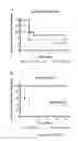 Fig. 12 - Group A Streptococcus Pharmaceutical Compositions and Methods Thereof
