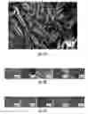 Fig. 03 - Shape memory particles for biomedical uses