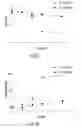 Fig. 09 - Shape memory particles for biomedical uses