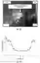 Fig. 11 - Shape memory particles for biomedical uses