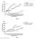 Fig. 04 - PROTEIN-POLYMER-DRUG CONJUGATES