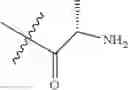 Fig. 124 - PROTEIN-POLYMER-DRUG CONJUGATES