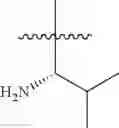 Fig. 136 - PROTEIN-POLYMER-DRUG CONJUGATES